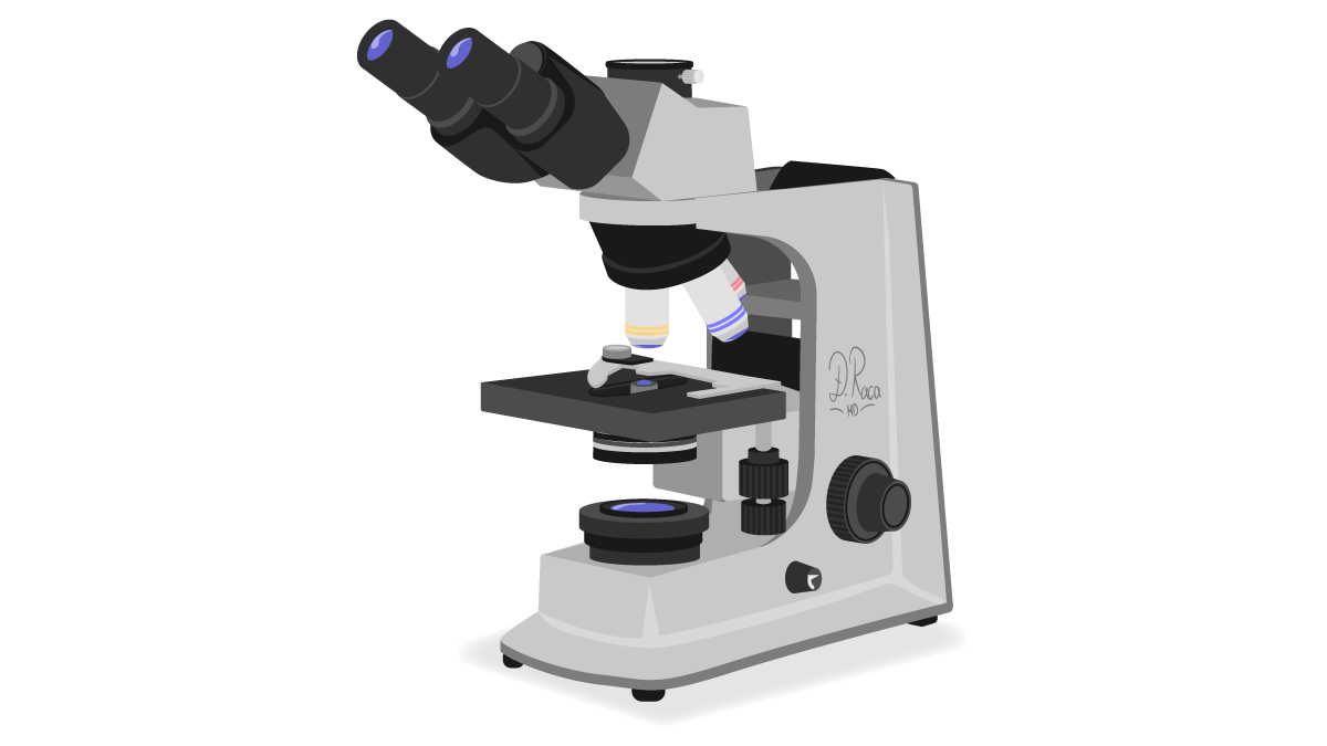 Read more about the article NOVO! Histologija testovi!