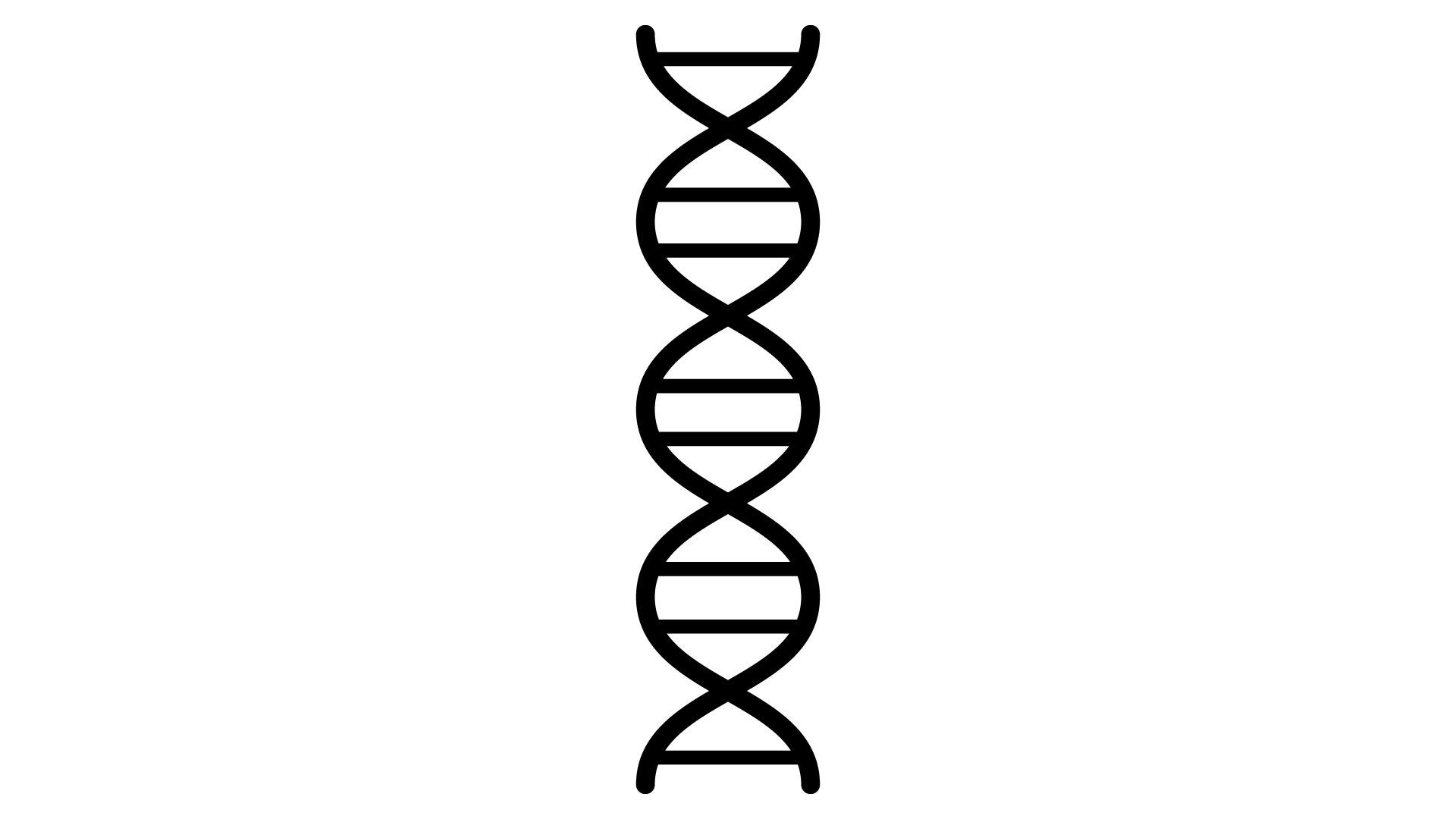 Read more about the article Sekundarna struktura molekula DNK